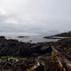 Illustration for article titled Tofino and Ucluelet